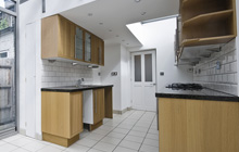 Flush House kitchen extension leads